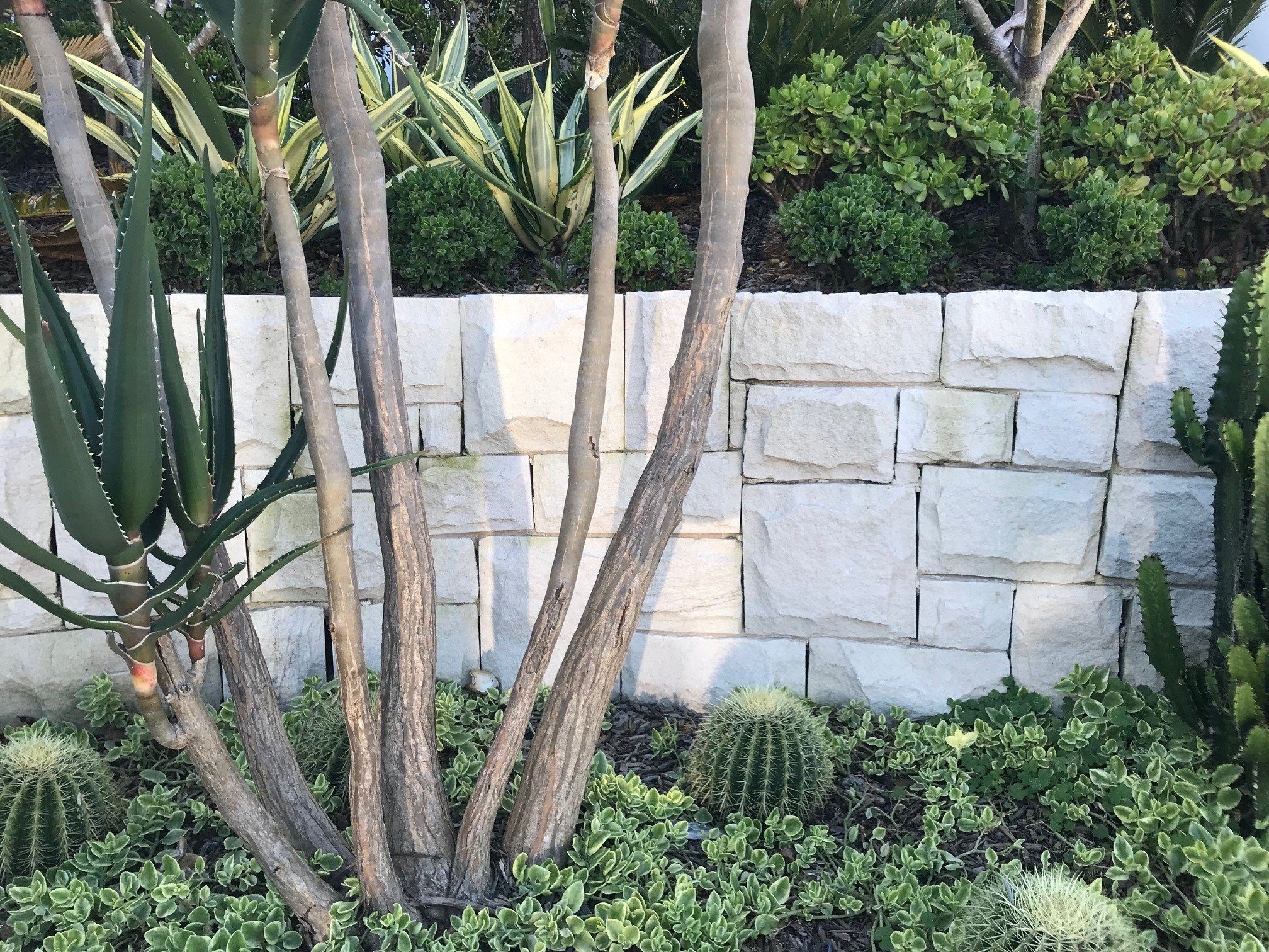 gosford-quarries-sandstone-supplies-sydney-melbourne-brisbane-Pure-White-ballast-walling